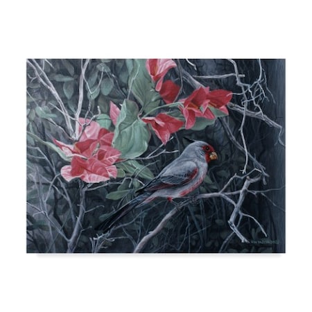 Ron Parker 'Pyrrhuloxia' Canvas Art,14x19